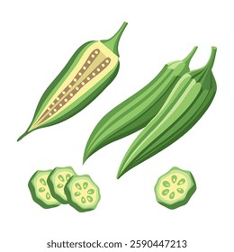 Collection of fresh green okra on white background. Green roselle or okra, cut pieces. Food illustration.