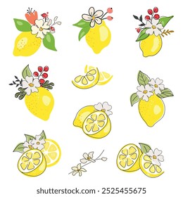 Collection of fresh lemons, halved, sliced. Linear set of fruits with flowers and leaves. Outline drawing isolated. Doodle.