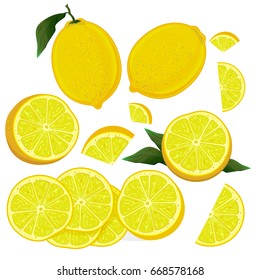 Collection of fresh lemons and with slice, healthy food.Vector illustration.