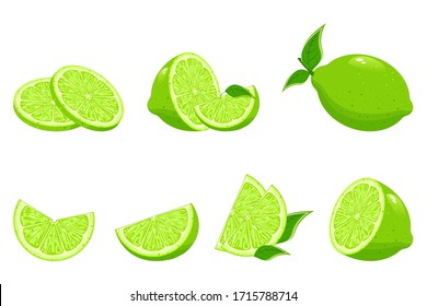 Collection of fresh limes. Designed for logos and web sites. Lemon with slices of green lemon. Fresh limes with leaves.