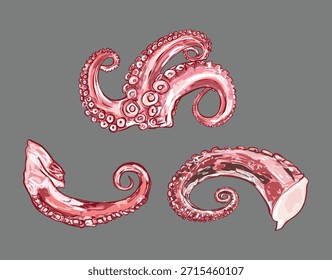 Colección de tentáculos de pulpo fresco presentados como un simple conjunto de alimentos, aptos para temas de mariscos, conceptos culinarios, menús, empaques y diseños relacionados con la cocina.