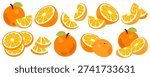 Collection of Fresh Orange Fruit vectors, whole, halved, and sliced pieces