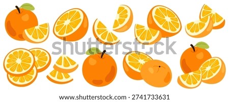 Collection of Fresh Orange Fruit vectors, whole, halved, and sliced pieces