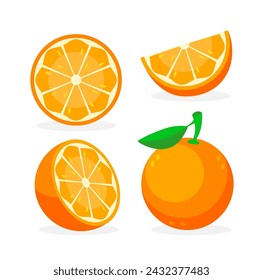 Sammlung von frischen Orangen. Orangenfrüchte isoliert auf weißem Hintergrund. Vektorgrafik