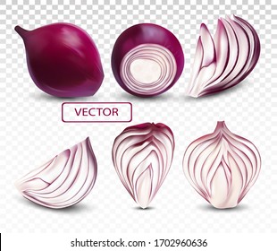 Collection fresh red onion close up.Sliced, half, piece onion on transparent background. 3D realistic vector illustration.