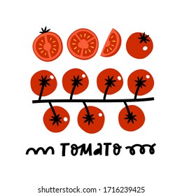 Collection of fresh red tomatoes. Slices, halves, cherry tomatoes and bunch isolated on white background. Sketch style vector illustration.