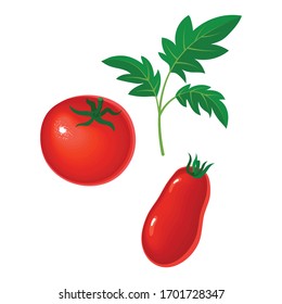 Collection of fresh red tomatoes vector illustrations. Half a tomato, a slice of tomato.