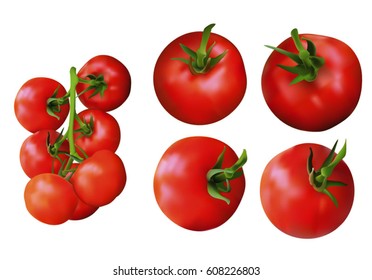 Collection of fresh red tomatoes vector illustrations. Tomato, cherry tomato.