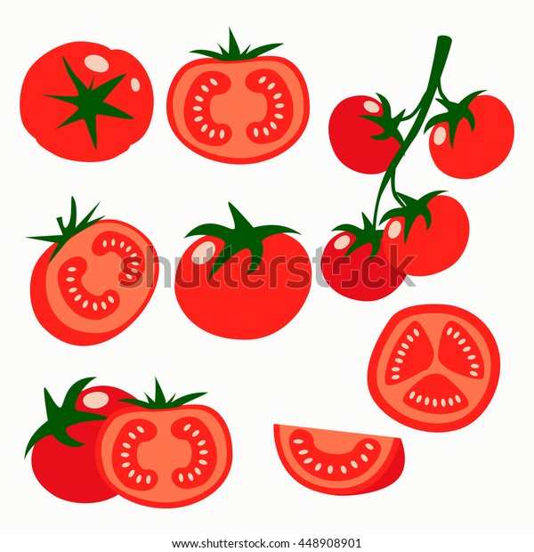 Vector De Stock Libre De Regalias Sobre Coleccion De Ilustraciones Vectoriales De Tomates448908901