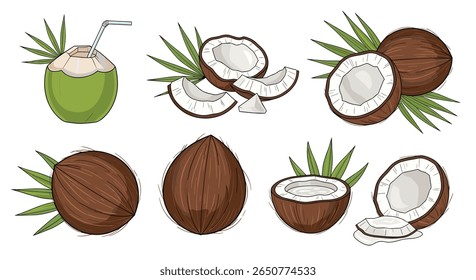 Collection of fresh ripe coconut tropical fruit ingredients for healthy eating