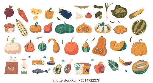 Collection Of Fresh and Spoiled Vegetables And Food Items Includes Produce Like Pumpkin, Corn, And Potato