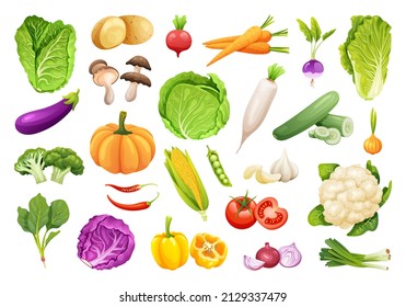 Collection of fresh vegetables in cartoon style