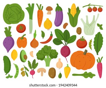 Collection of fresh vegetables. Healthy and beneficial product. Organic food. Gardening or farming concept. Design elements for print, packaging or stickers. Flat vector illustration.