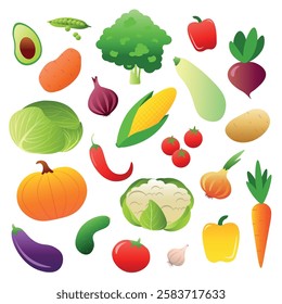 Collection of fresh vegetables, vector illustration, Includes avocado, pumpkin, corn, cabbage, tomatoes, carrots, onions, eggplant, chili peppers and more. Ideal for healthy food concepts, recipe book