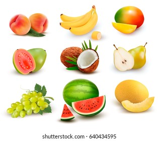 Collection of fruit and berries. Watermelon, grape, pear, banana, mango, coconut, peach, guava. Vector Set.