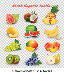 Collection of fruit and berries. Watermelon, honeydew, guava, coconut, pineapple, grapes, mango, peach, pear, banana, kiwi. Vector Set.