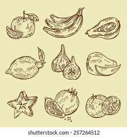 Collection of fruit, hand drawn.