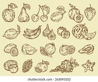 Collection of fruit, hand drawn.