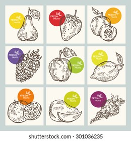 Collection of fruit, hand drawn.