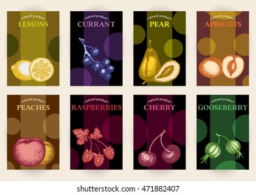 Collection fruit labels poster vintage food ink hand drawn vector 