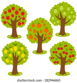 Collection of fruit orchard trees. Vector illustration