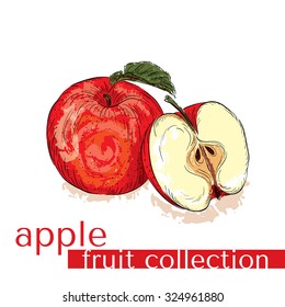 Collection of fruit in a vector . Hand drawing of fruits . Red apple.