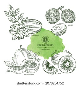 Collection of fruits: carambola fruit, lichee, passion fruit and kiwi. Vector hand drawn illustration.