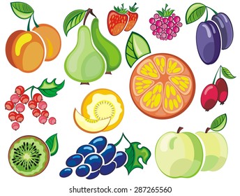 Collection of fruits icons