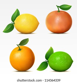 Collection of fruits on white background Mesh.