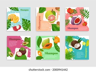 Collection fruits organic shampoo package label vector flat illustration. Set promo haircare cosmetics product with place for text. Sticker poster with vegetarian plant eco friendly beauty treatment