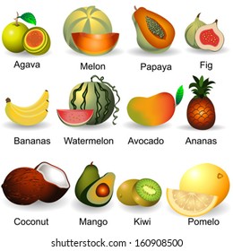 Collection of fruits, plastic design, part 2