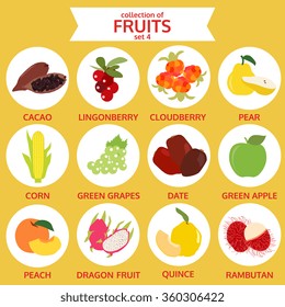 collection of fruits set 4, food vector illustration, flat icon set