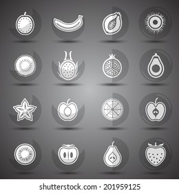 Collection of Fruits set hand drawn vector,illustration