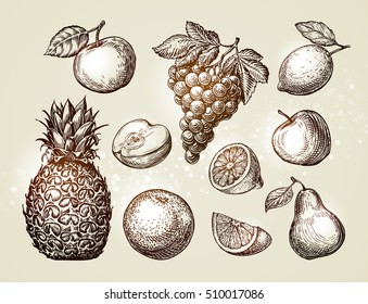 Collection fruits sketch. Hand-drawn elements such as apple, pineapple, pear, grapes, orange, lemon. Vector illustration