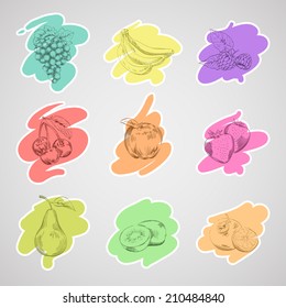 Collection Fruits. Vector illustration.