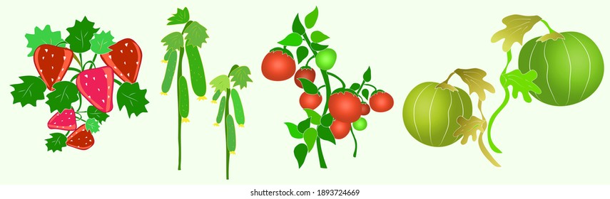 Collection of fruits vegetables and berries - hand drawn cartoon color illustration