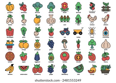 A collection of fruits and vegetables with a variety of colors and shapes. Concept of abundance and freshness