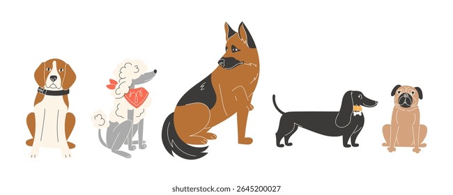 Collection of Full Body Flat Style Illustrations of Dogs Including German Shepherd Dachshund Poodle Pug and Beagle
