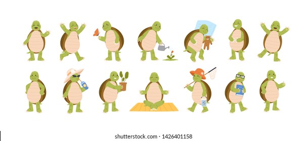 Collection of funny adorable tortoise isolated on white background. Set of cute turtle performing daily activities - sleeping, walking, watering flower, meditating. Flat cartoon vector illustration.