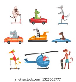 Collection of Funny Animal Characters Using Various Types of Vehicles, Rabbit, Dragon, Hippo, Zebra, Cow, Bird, Fox, Monkey on Cars, Skateboards, Kick Scooters, Helicopter Vector Illustration