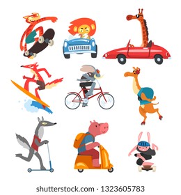 Collection of Funny Animal Characters Using Various Types of Vehicles, Cat, Lion, Giraffe, Rabbit, Camel, Wolf, Pig, with Cars, Skateboards, Kick Scooters, Surfboard Vector Illustration