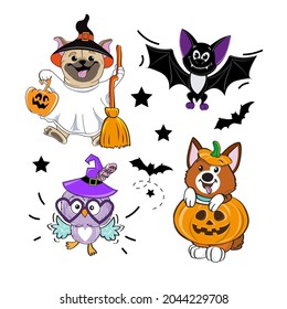 Collection of funny animals in Halloween costumes. Vector illustration. Pug dog, owl, bat and corgi on white background isolated