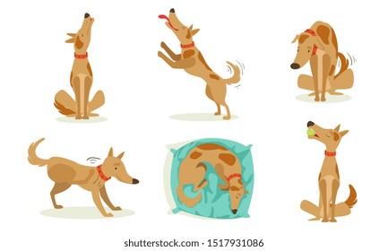 Collection of Funny Brown Dog in Different Situations Set, Cute Animal Character Playing, Sleeping, Howling Cartoon Vector Illustration