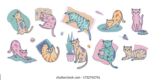 Collection of funny cats sleeping, stretching itself, standing. Set of pet animals isolated on white background. Cartoon pets vector illustration.