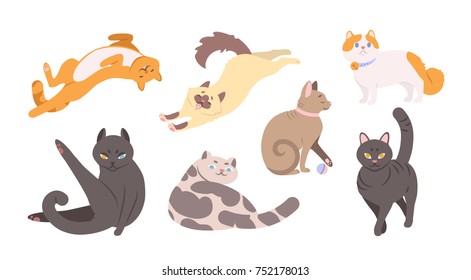 Colección de gatos divertidos de varias razas tirados, sentados, lavándose, jugando con el balón. Conjunto de lindos animales de compañía de dibujos animados con abrigos coloridos aislados en fondo blanco. Ilustración vectorial.