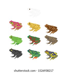The collection of funny colored frogs vector