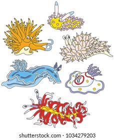 Collection of funny and colorful sea monsters - molluscs, vector illustrations in a cartoon style