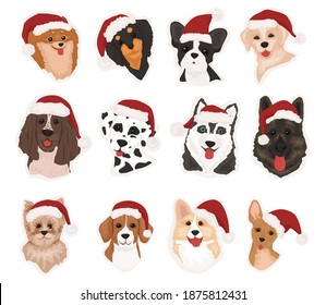 Collection of funny dogs of different breeds. Cute doodle corgi in New Year and Christmas image. A set of dogs in Santa Claus hats, knitted scarves and deer antlers. Vector illustration