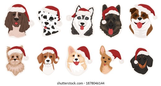 Collection of funny dogs of different breeds. Merry Christmas and Happy New Year 2021. Cute doodle corgi for christmas. Cute dogs in Santa Claus hat. Vector illustration