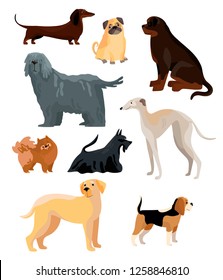 Collection of funny dogs of various breeds. Set of cute and amusing cartoon pet animals isolated on white background. Vector illustration in flat style